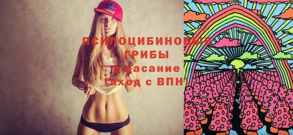 PSILOCYBIN Бородино