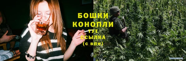ПСИЛОЦИБИНОВЫЕ ГРИБЫ Бронницы