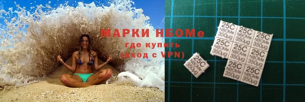 PSILOCYBIN Бородино
