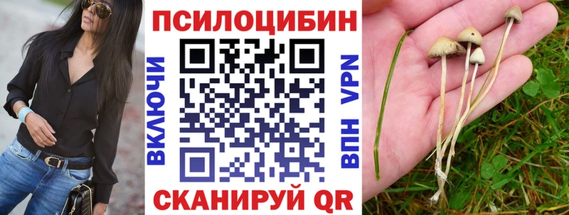 Псилоцибиновые грибы Magic Shrooms  Краснокаменск 