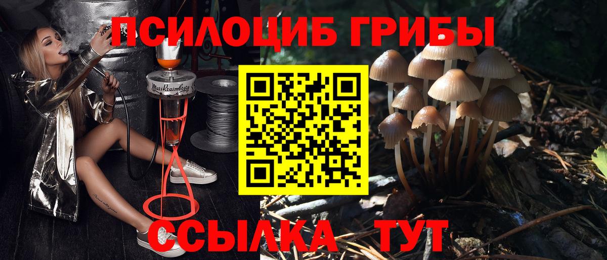 Псилоцибиновые грибы прущие грибы Краснокаменск