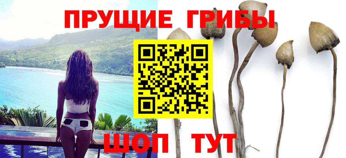 Галлюциногенные грибы MAGIC MUSHROOMS  Вход с VPN  Краснокаменск 
